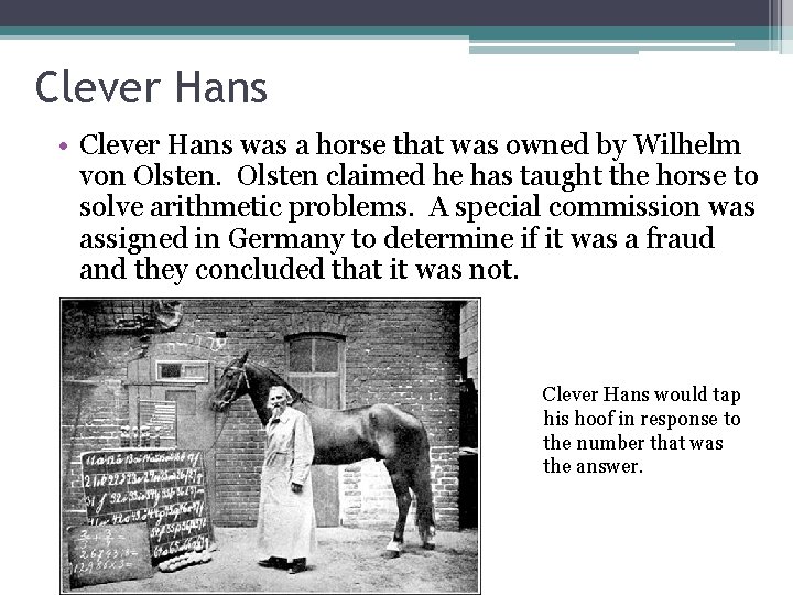 Clever Hans • Clever Hans was a horse that was owned by Wilhelm von