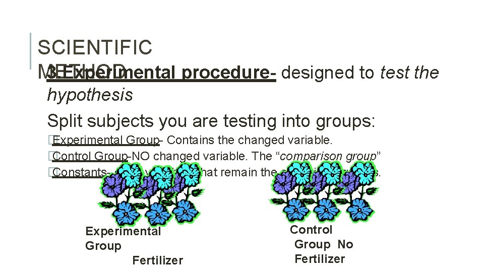 SCIENTIFIC METHOD 3. Experimental procedure- designed to test the hypothesis Split subjects you are
