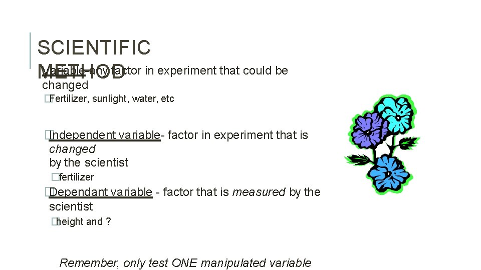 SCIENTIFIC Variable-any factor in experiment that could be METHOD changed �Fertilizer, sunlight, water, etc