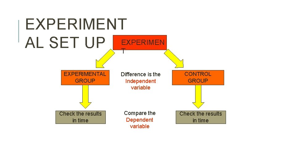 EXPERIMENT AL SET UP EXPERIMEN T EXPERIMENTAL GROUP Check the results in time Difference