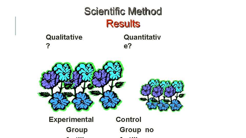 Scientific Method Results Qualitative ? Experimental Group Quantitativ e? Control Group no 