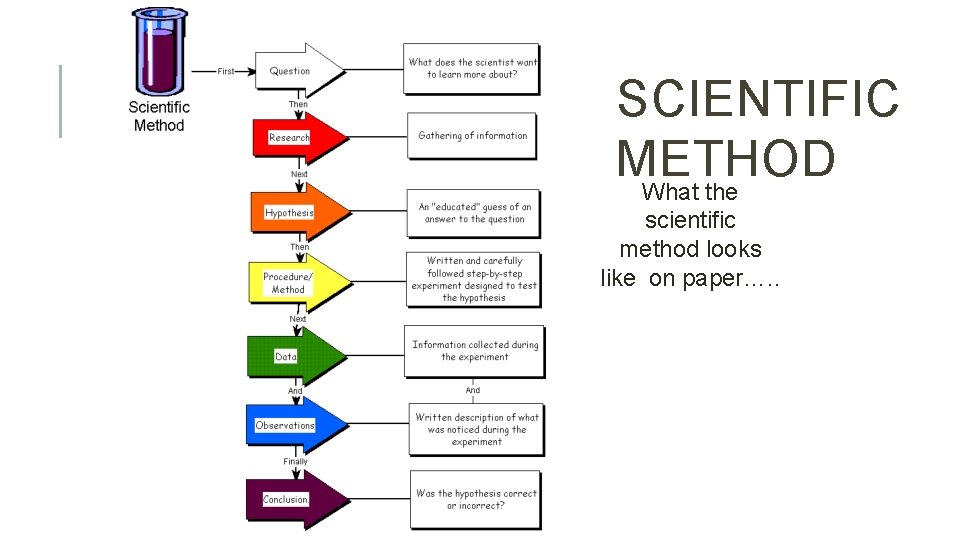 SCIENTIFIC METHOD What the scientific method looks like on paper…. . 