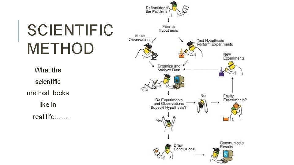 SCIENTIFIC METHOD What the scientific method looks like in real life……. 