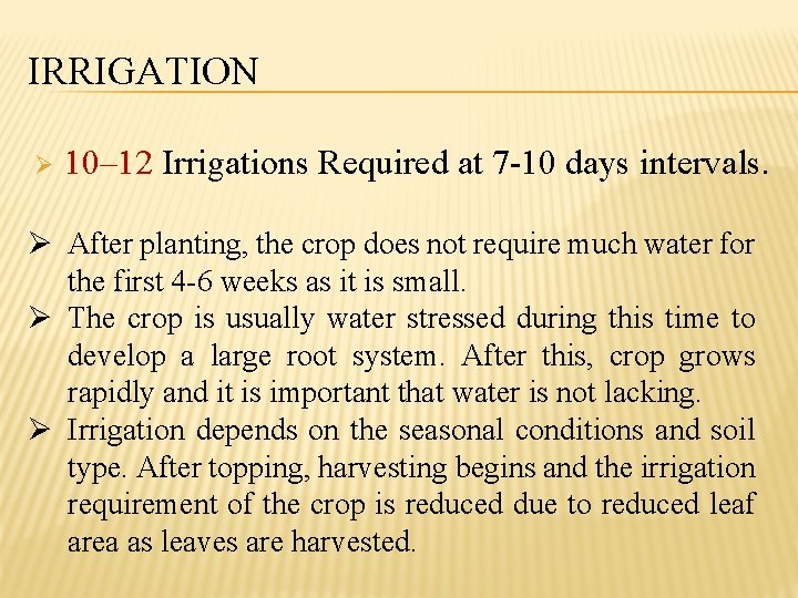 IRRIGATION Ø 10– 12 Irrigations Required at 7 -10 days intervals. Ø After planting,
