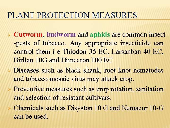 PLANT PROTECTION MEASURES Ø Ø Cutworm, budworm and aphids are common insect -pests of