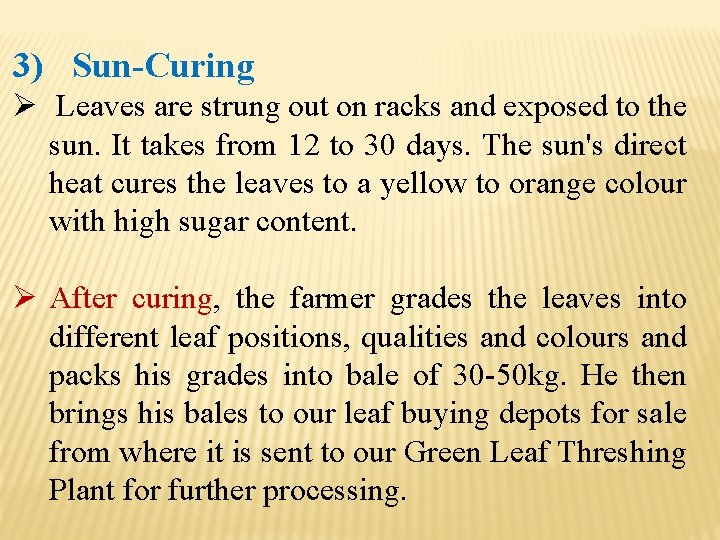 3) Sun-Curing Ø Leaves are strung out on racks and exposed to the sun.