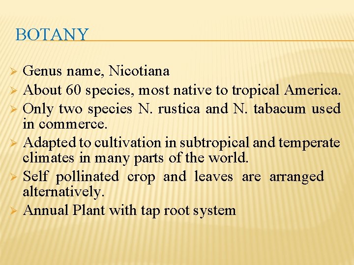 BOTANY Genus name, Nicotiana Ø About 60 species, most native to tropical America. Ø