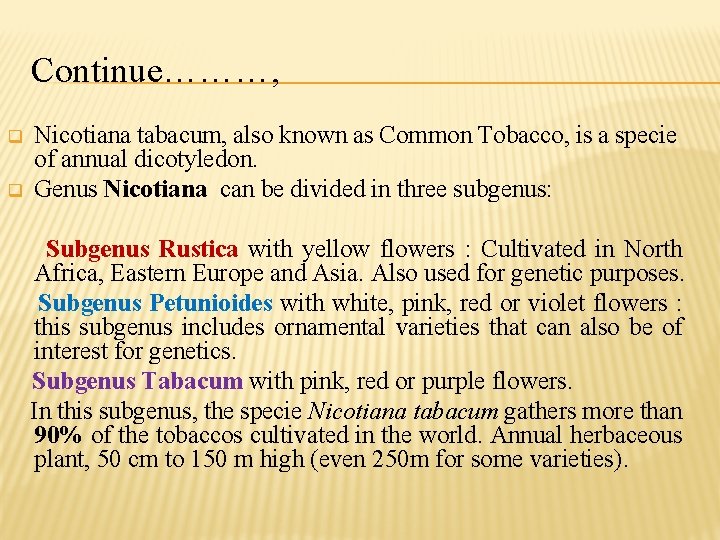 Continue………, q q Nicotiana tabacum, also known as Common Tobacco, is a specie of