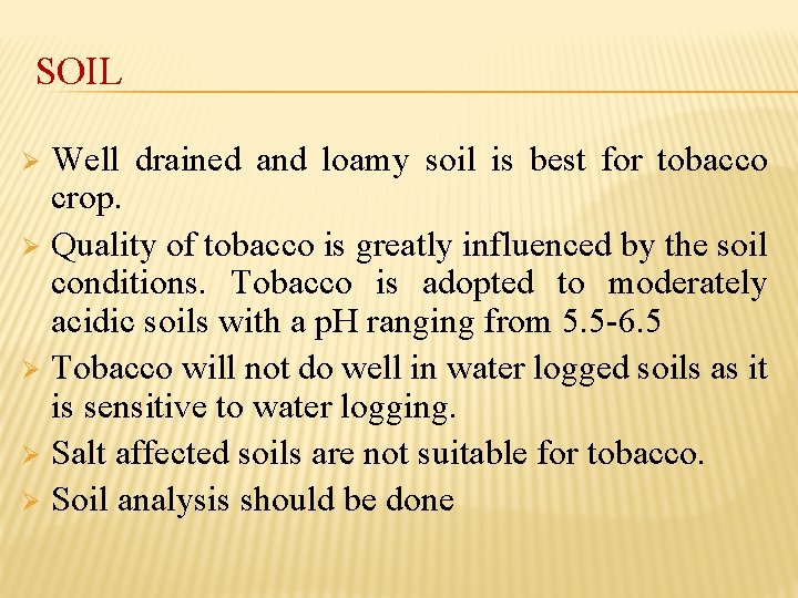 SOIL Well drained and loamy soil is best for tobacco crop. Ø Quality of