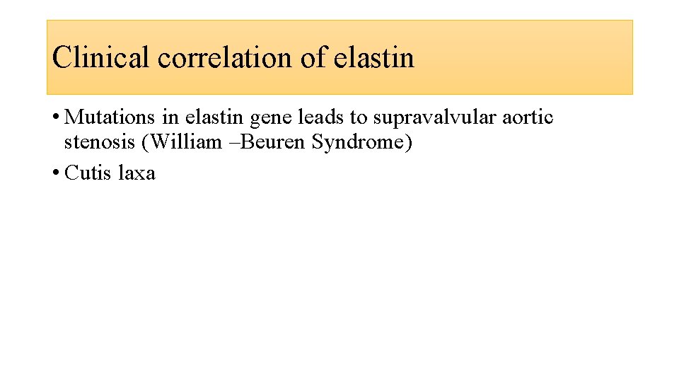 Clinical correlation of elastin • Mutations in elastin gene leads to supravalvular aortic stenosis