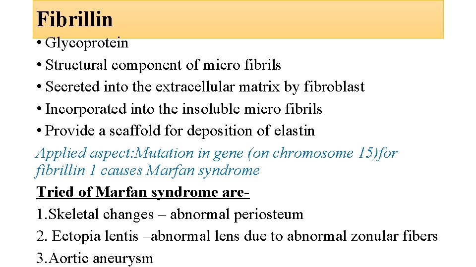 Fibrillin • Glycoprotein • Structural component of micro fibrils • Secreted into the extracellular