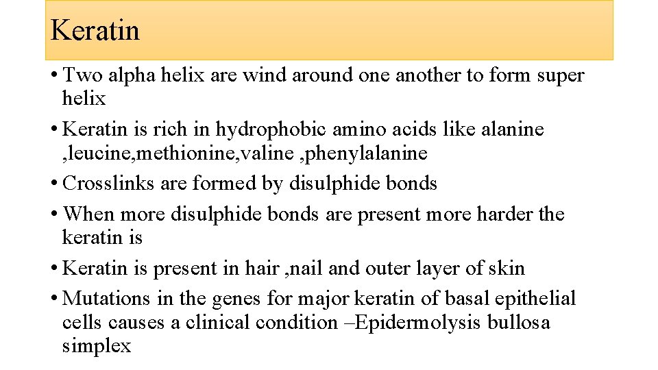 Keratin • Two alpha helix are wind around one another to form super helix