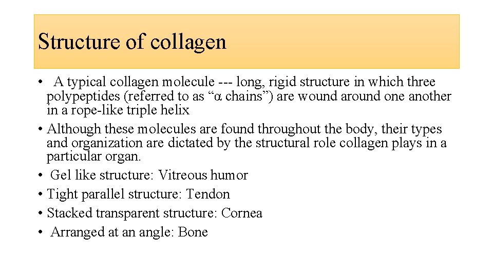 Structure of collagen • A typical collagen molecule --- long, rigid structure in which