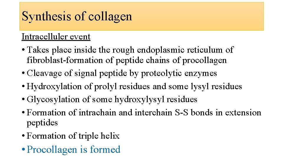 Synthesis of collagen Intracelluler event • Takes place inside the rough endoplasmic reticulum of Synthesis of collagen Intracelluler event • Takes place inside the rough endoplasmic reticulum of