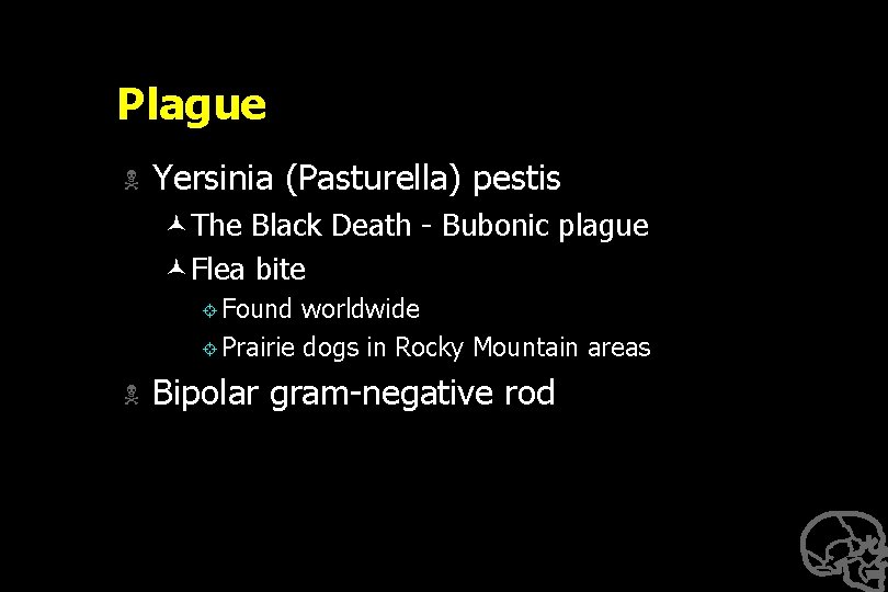 Plague N Yersinia (Pasturella) pestis ©The Black Death - Bubonic plague ©Flea bite ±