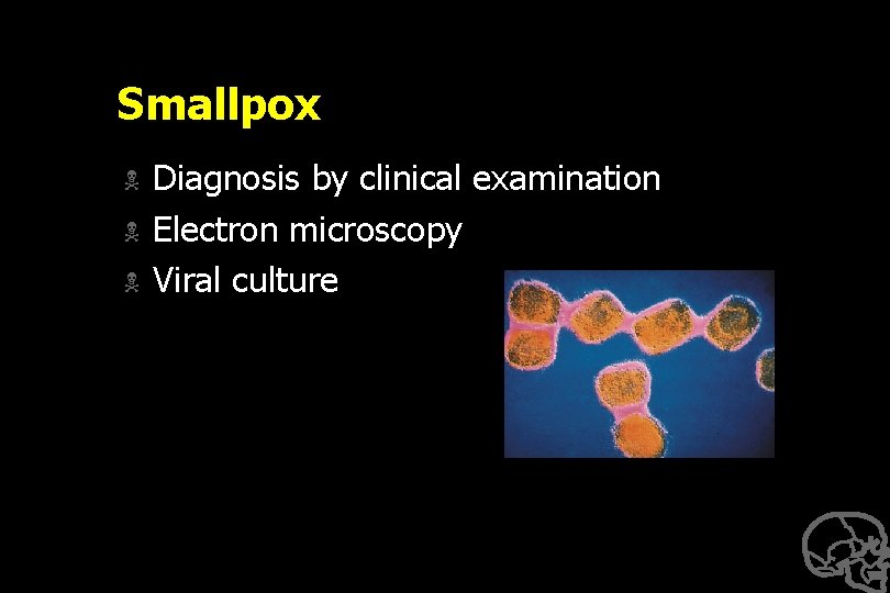 Smallpox N N N Diagnosis by clinical examination Electron microscopy Viral culture 