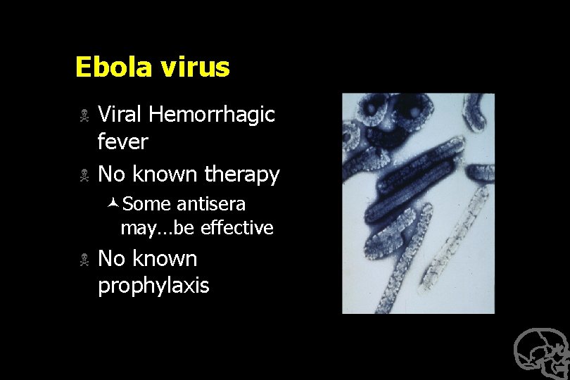 Ebola virus N N Viral Hemorrhagic fever No known therapy ©Some antisera may…be effective