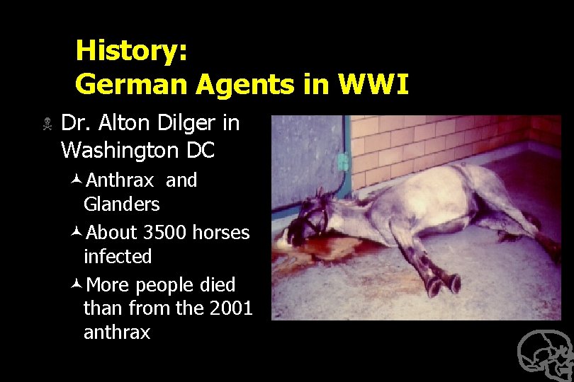 History: German Agents in WWI N Dr. Alton Dilger in Washington DC ©Anthrax and