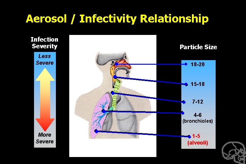 Aerosol / Infectivity Relationship Infection Severity Particle Size Less Severe 18 -20 15 -18