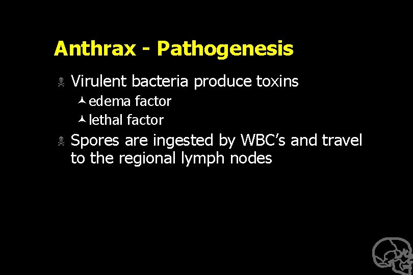 Anthrax - Pathogenesis N Virulent bacteria produce toxins ©edema factor ©lethal factor N Spores