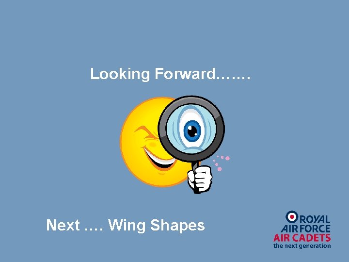 Looking Forward……. Next …. Wing Shapes 