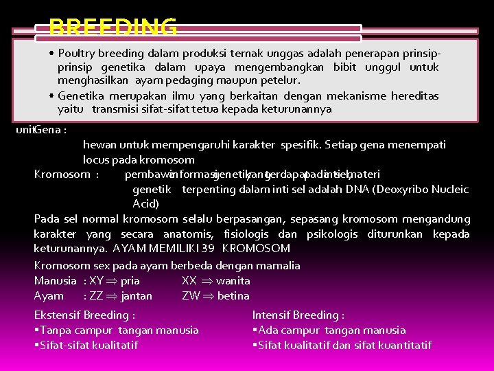 BREEDING • Poultry breeding dalam produksi ternak unggas adalah penerapan prinsip genetika dalam upaya