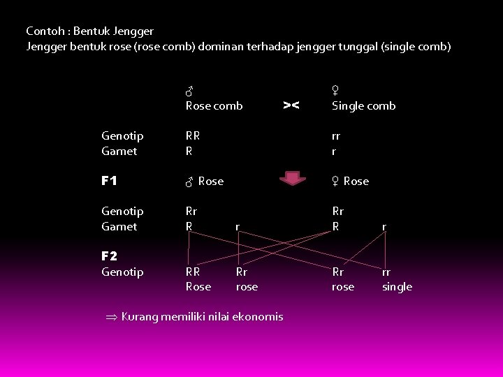 Contoh : Bentuk Jengger bentuk rose (rose comb) dominan terhadap jengger tunggal (single comb)
