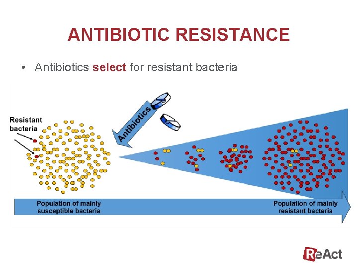 ANTIBIOTIC RESISTANCE • Antibiotics select for resistant bacteria 