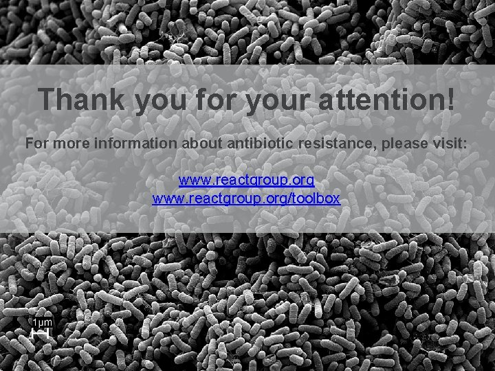 Thank you for your attention! For more information about antibiotic resistance, please visit: www.