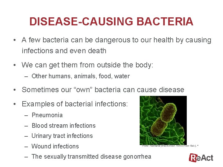 DISEASE-CAUSING BACTERIA • A few bacteria can be dangerous to our health by causing