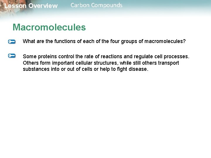 Lesson Overview Carbon Compounds Macromolecules What are the functions of each of the four