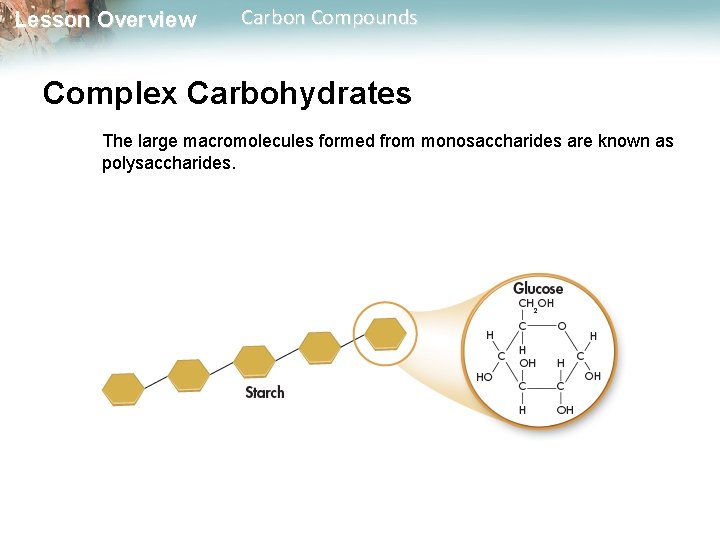 Lesson Overview Carbon Compounds Complex Carbohydrates The large macromolecules formed from monosaccharides are known