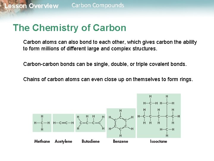 Lesson Overview Carbon Compounds The Chemistry of Carbon atoms can also bond to each
