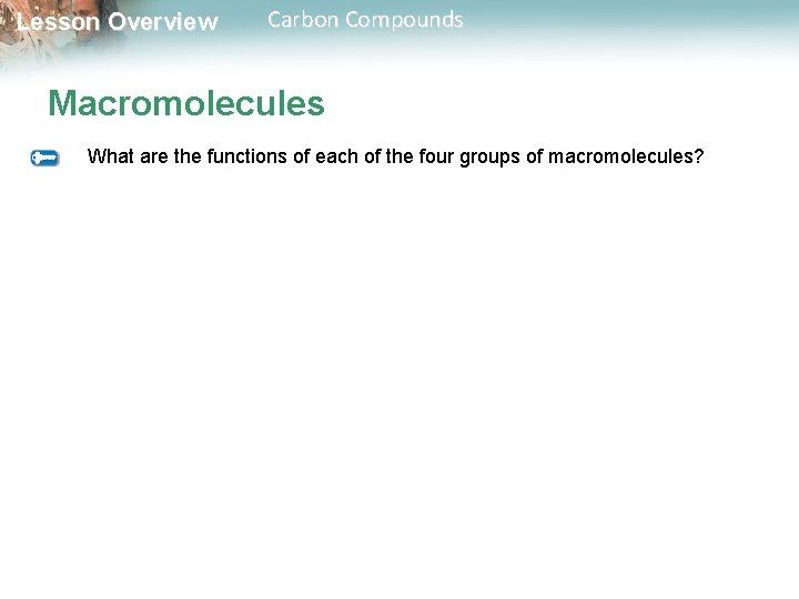 Lesson Overview Carbon Compounds Macromolecules What are the functions of each of the four