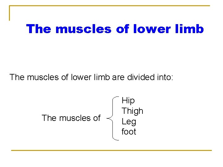 The muscles of lower limb are divided into: The muscles of Hip Thigh Leg