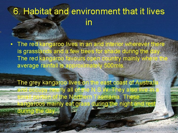 6. Habitat and environment that it lives in • The red kangaroo lives in