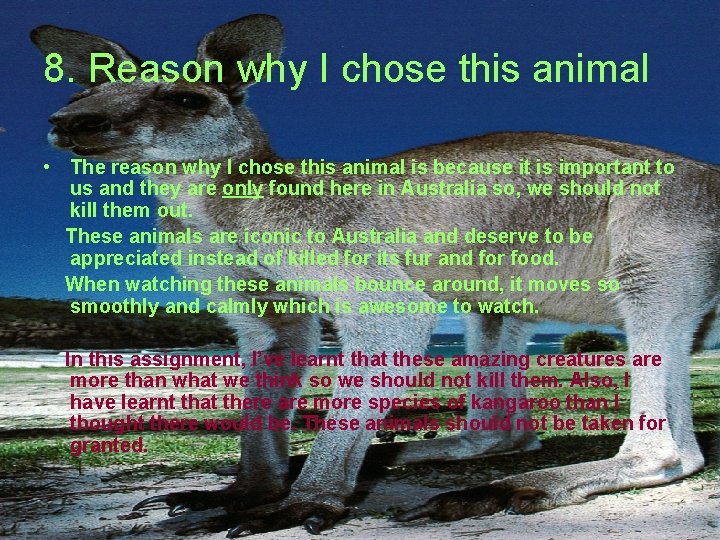 8. Reason why I chose this animal • The reason why I chose this