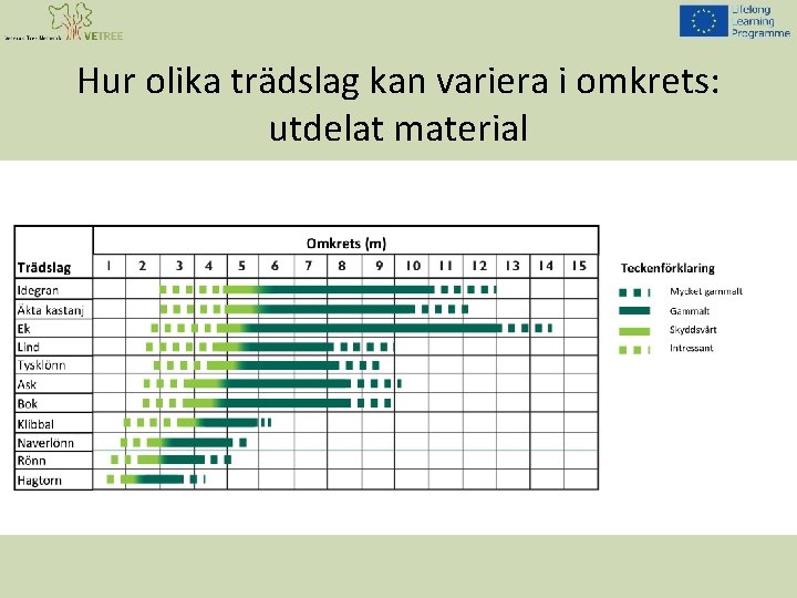 Hur olika trädslag kan variera i omkrets: utdelat material 