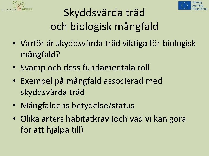 Skyddsvärda träd och biologisk mångfald • Varför är skyddsvärda träd viktiga för biologisk mångfald?