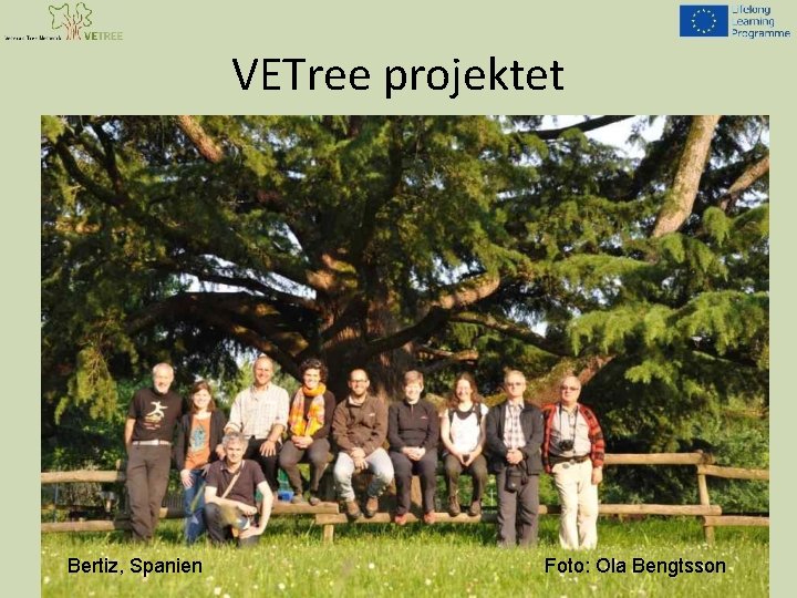 VETree projektet Bertiz, Spanien Foto: Ola Bengtsson 