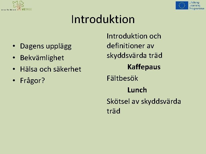 Introduktion • • Dagens upplägg Bekvämlighet Hälsa och säkerhet Frågor? Introduktion och definitioner av