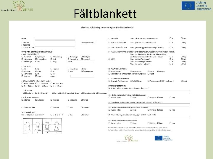 Fältblankett 