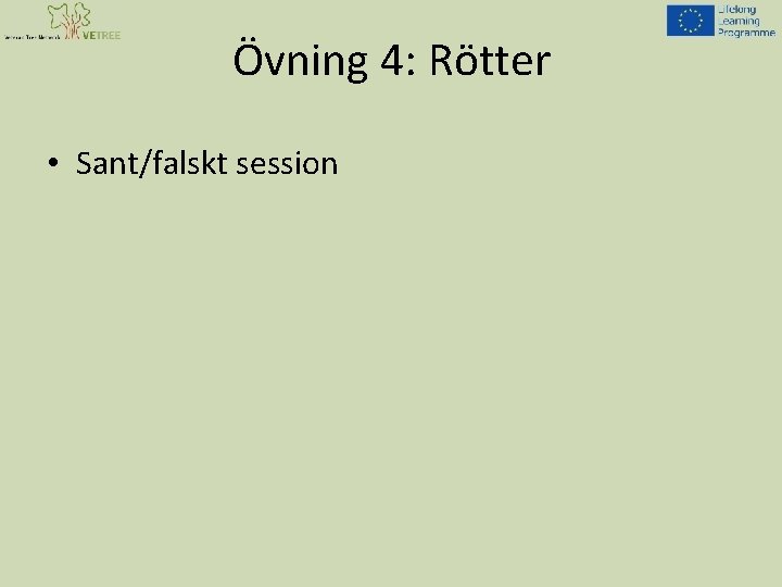 Övning 4: Rötter • Sant/falskt session 