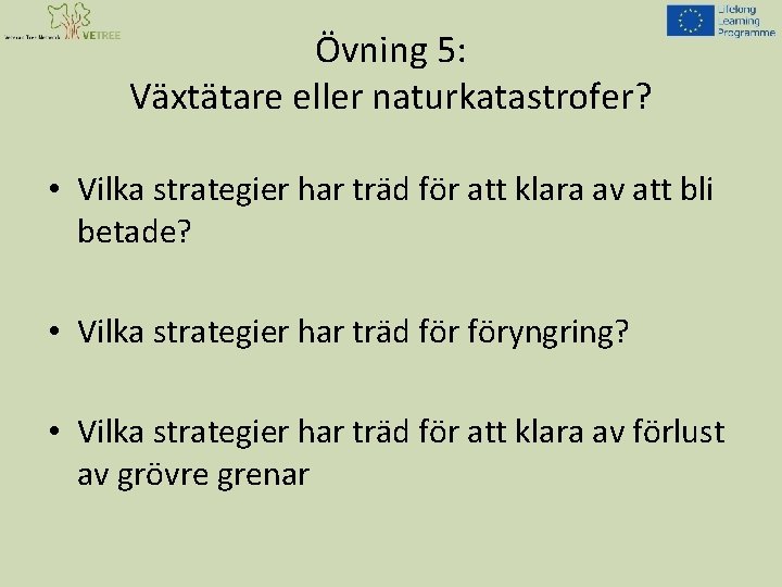 Övning 5: Växtätare eller naturkatastrofer? • Vilka strategier har träd för att klara av