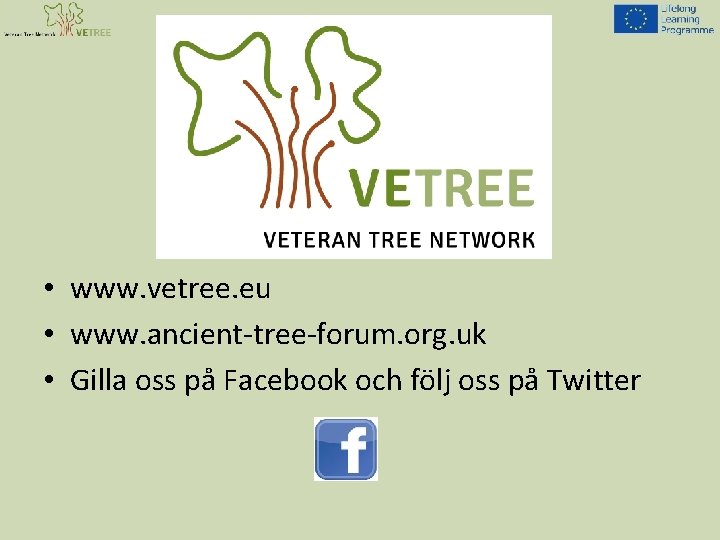  • www. vetree. eu • www. ancient-tree-forum. org. uk • Gilla oss på