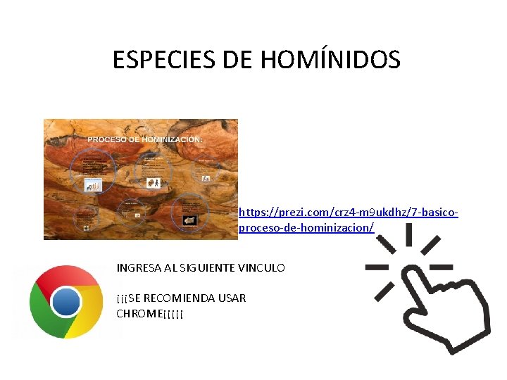 ESPECIES DE HOMÍNIDOS https: //prezi. com/crz 4 -m 9 ukdhz/7 -basicoproceso-de-hominizacion/ INGRESA AL SIGUIENTE