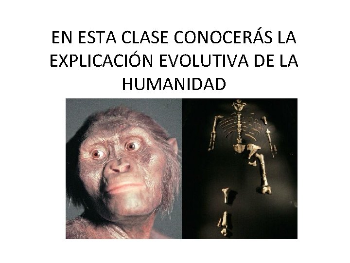 EN ESTA CLASE CONOCERÁS LA EXPLICACIÓN EVOLUTIVA DE LA HUMANIDAD 