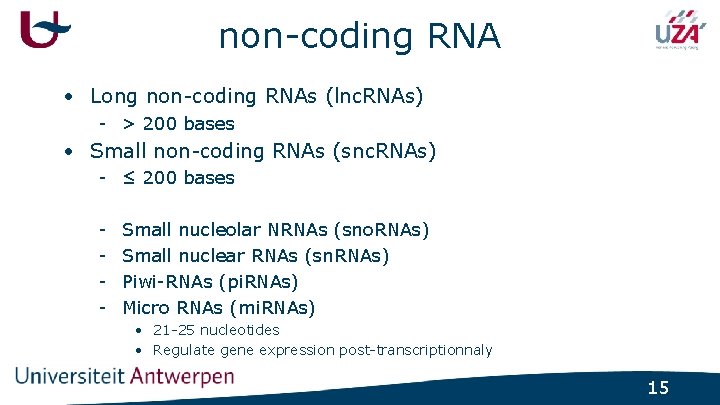 non-coding RNA • Long non-coding RNAs (lnc. RNAs) - > 200 bases • Small