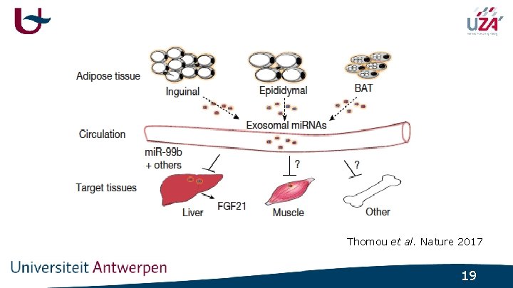 Thomou et al. Nature 2017 19 