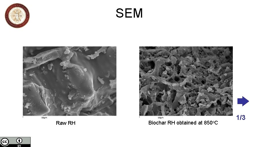 SEM Raw RH Biochar RH obtained at 850 o. C 1/3 SEM Raw RH Biochar RH obtained at 850 o. C 1/3